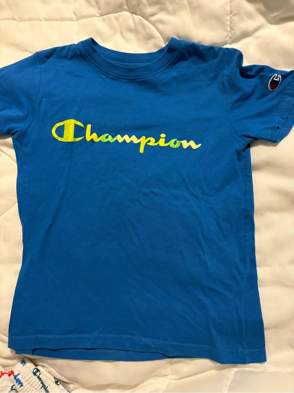 Champion Blue Tee with Multi-Color Logo Script shorts